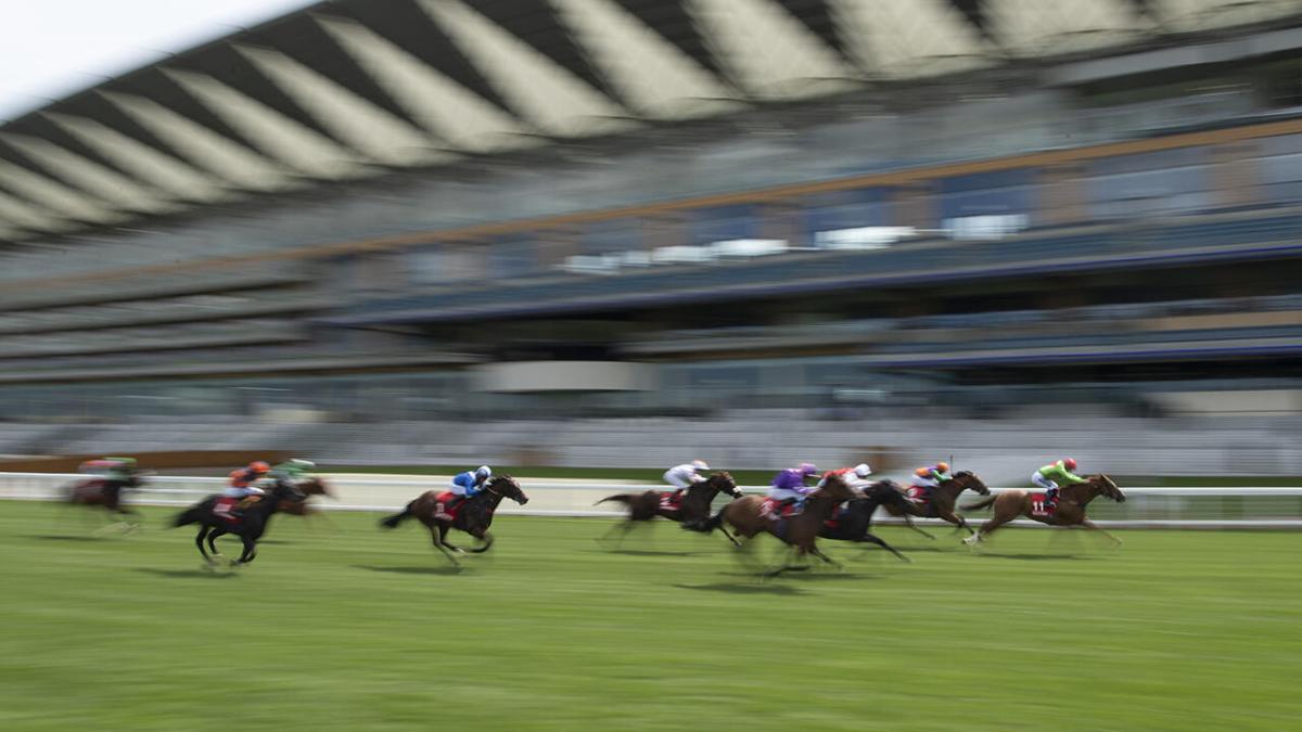 The runners dash for the line at Ascot